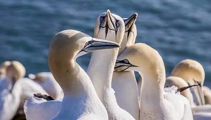 乐鱼电竞在线平台登录入口-《太阳替补席贡献有限，球队深度成疑》，太阳替补中锋