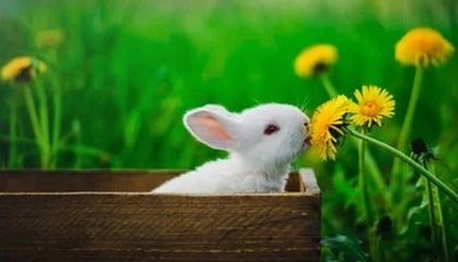 乐鱼（LEYU）体育-利物浦球星受伤恢复良好，即将重新回归比赛，利物浦哪些球星