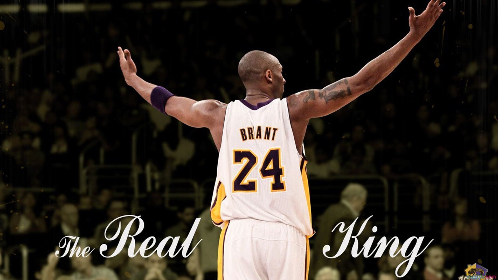 篮网队外援闪耀，球队状态逐渐回暖，篮网队伍