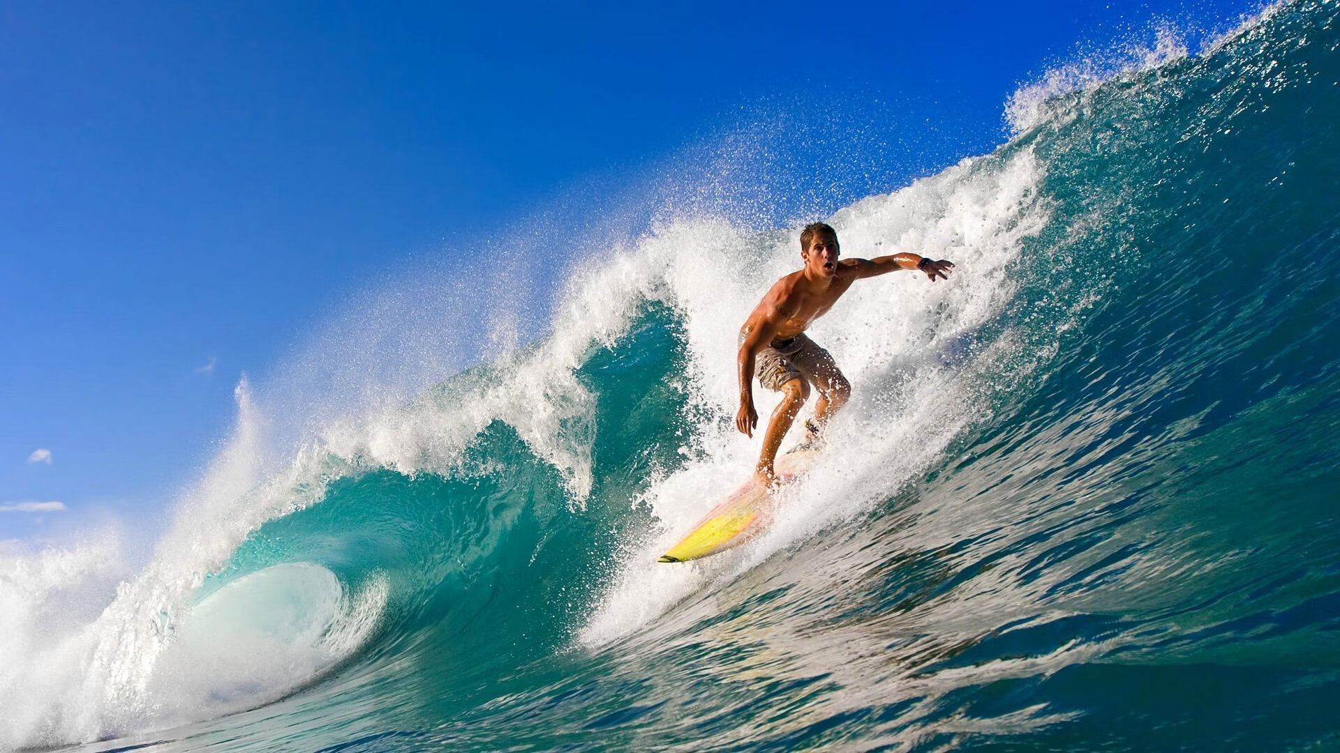 乐鱼体育 官方平台-《最受期待的直播嘉宾：明星主播加盟助阵》，见证下一个明星主播报名
